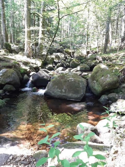 La Pause Nature Et Spa * Sainte-Foy-Saint-Sulpice